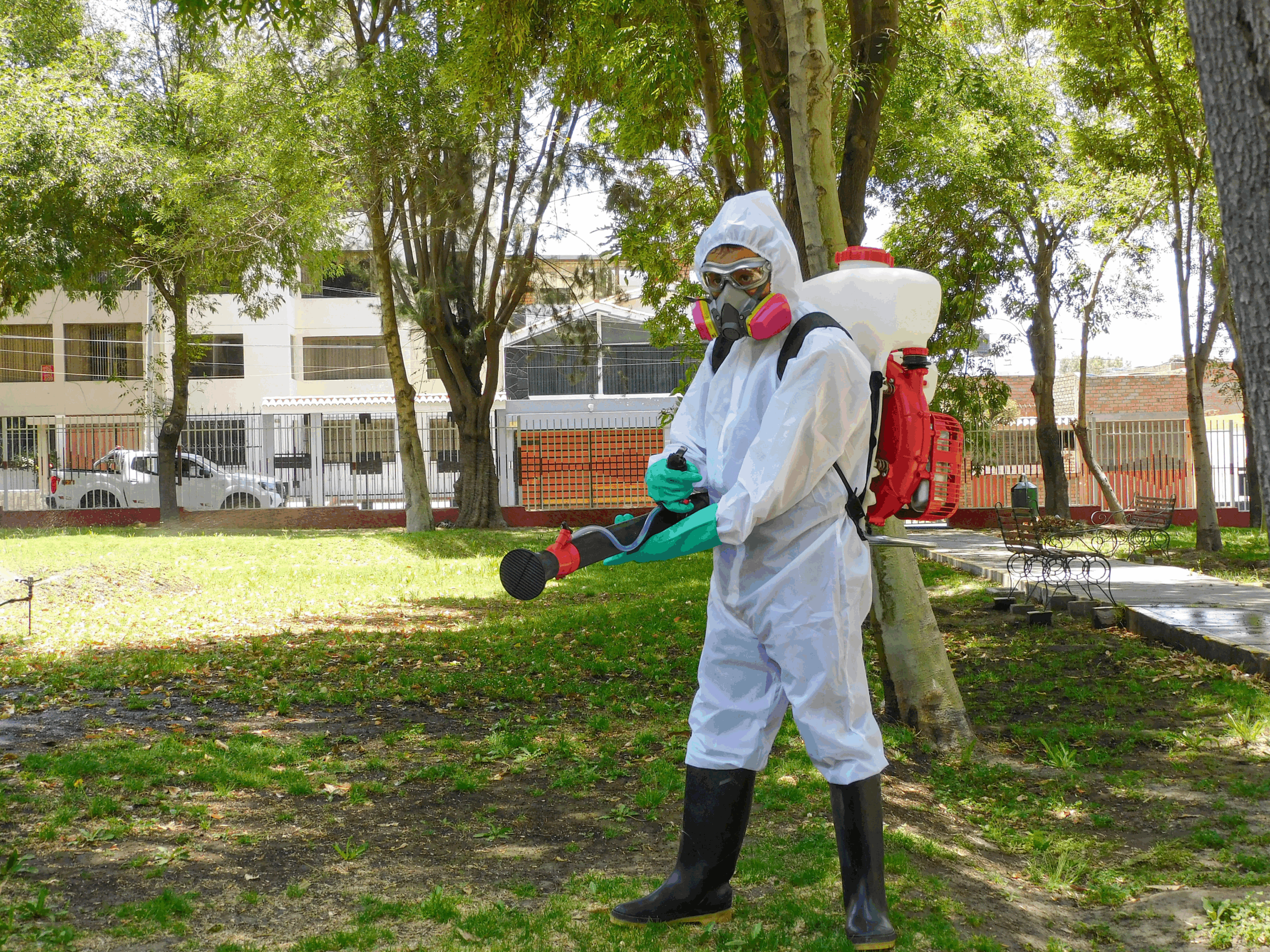 Saneamiento Ambiental | Desinsectación